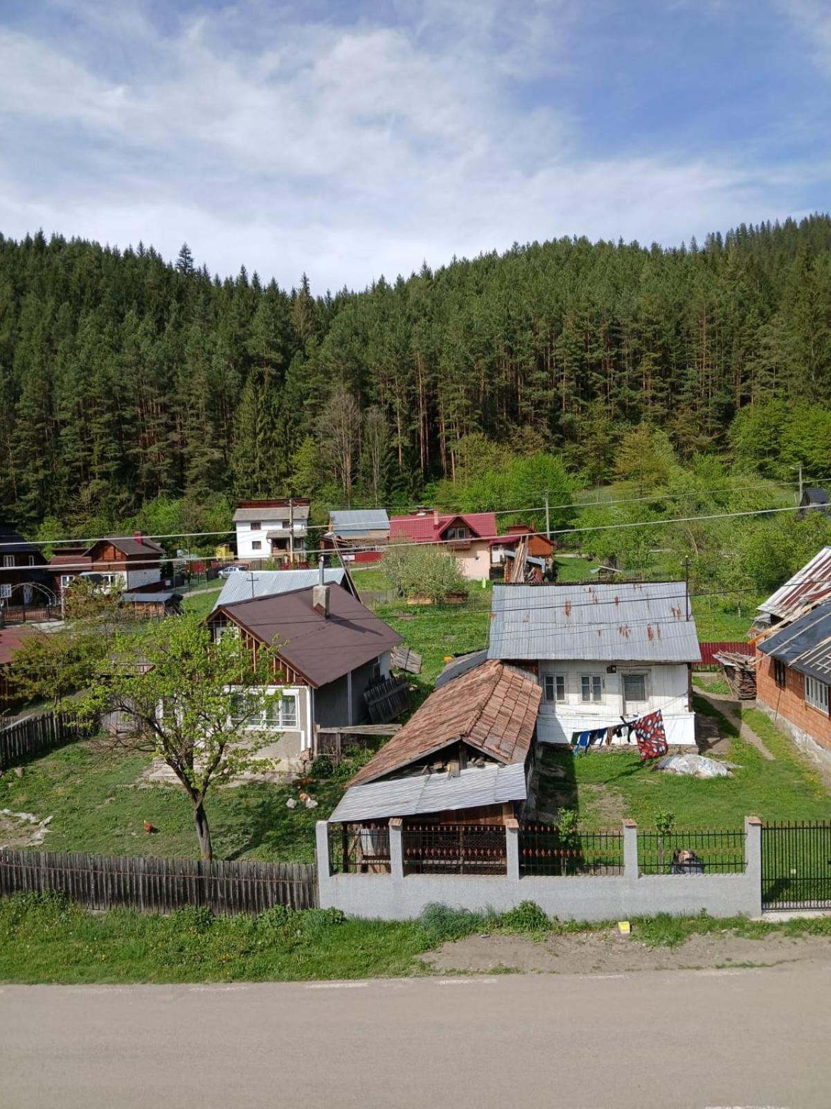 Forest View Câmpulung Moldovenesc Eksteriør bilde